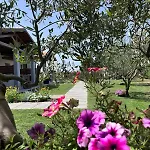 شقة فندقية La Pace - Pool & Relax 4*