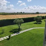 La Pace - Pool & Relax مارينا دي غروسيتو