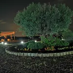 La Pace - Pool & Relax 4*