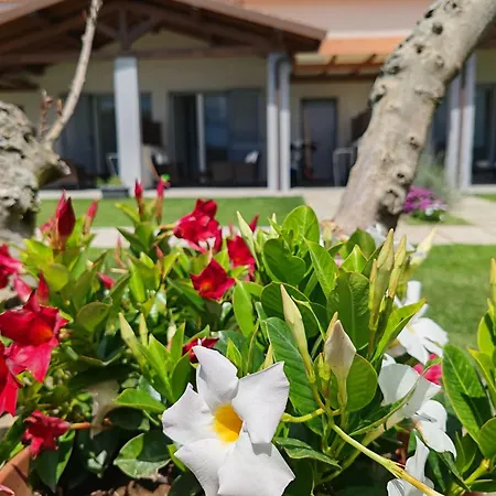La Pace - Pool & Relax 4* Marina di Grosseto
