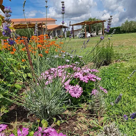 Aparthotel La Pace - Pool & Relax Marina di Grosseto